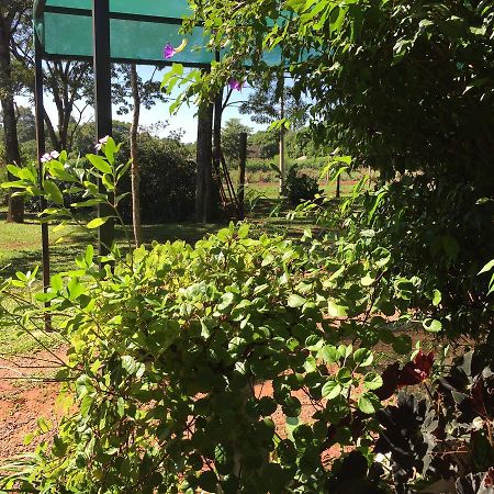 Iguazu Apart Hostel Пуэрто-Игуасу Экстерьер фото