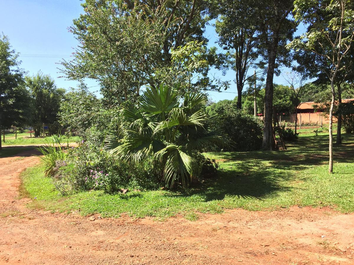 Iguazu Apart Hostel Пуэрто-Игуасу Экстерьер фото